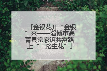 金银花开“金银”来——淄博市高青县常家镇共富路上“一路生花”